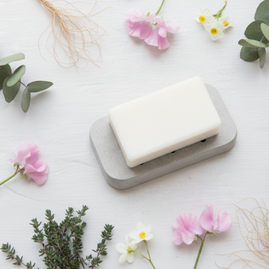 diatomite soap dish